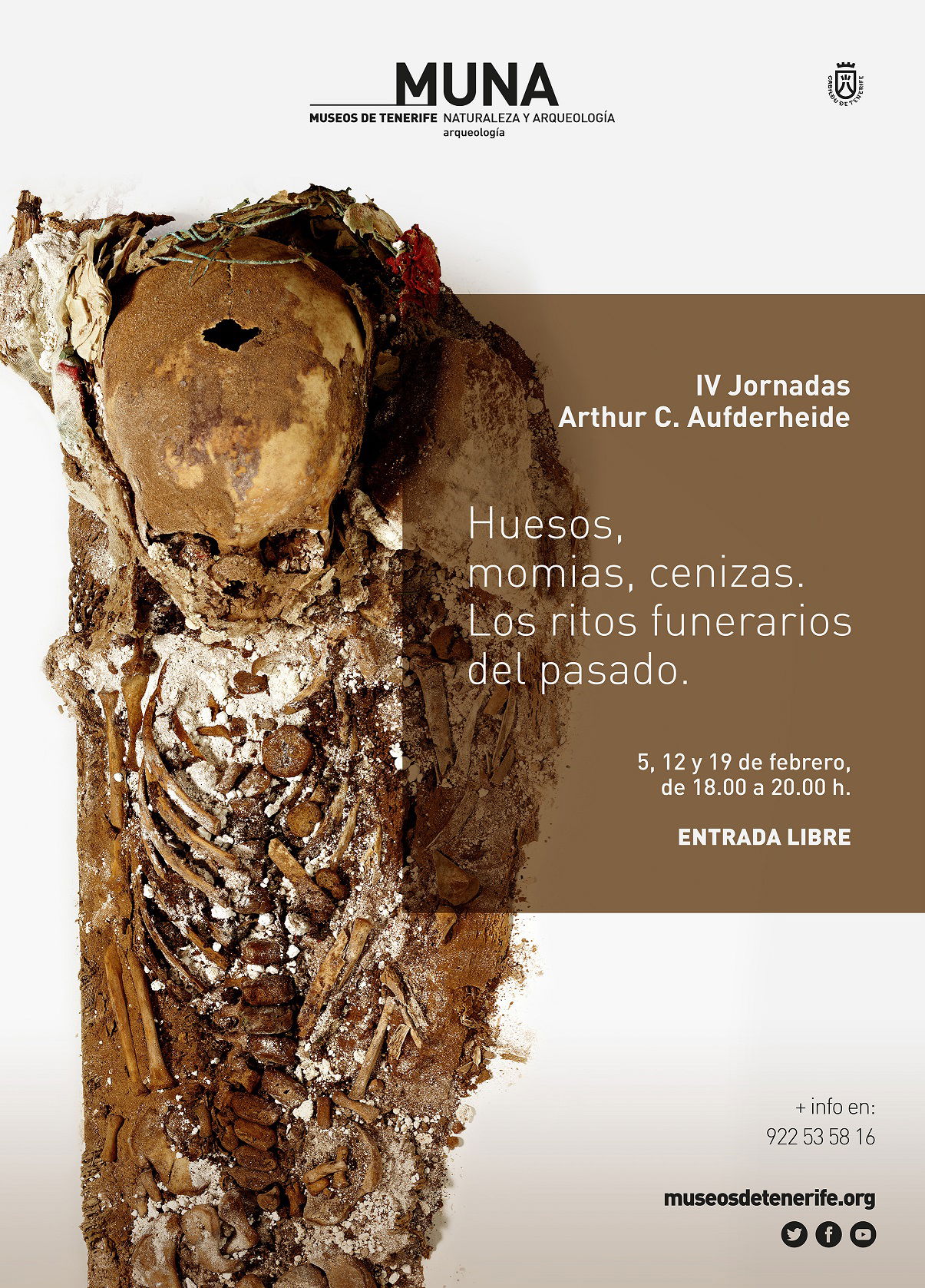 IV Jornadas Arthur C. Aufderheide