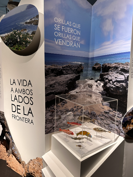 Exposición entre mar y tierra