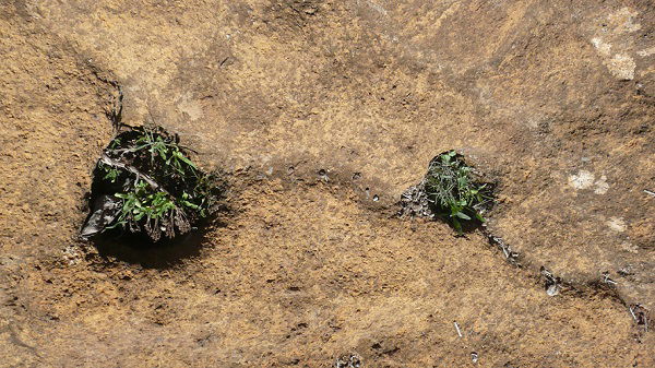 Enclaves ceremoniales. Canales y cazoletas en la isla de La Palma