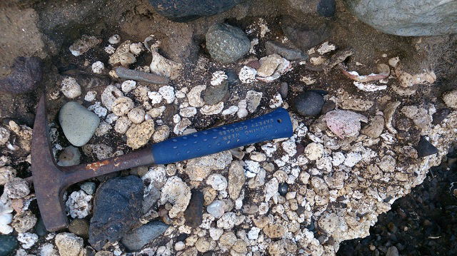Visita guiada a la playa fósil pleistocena de Tachero