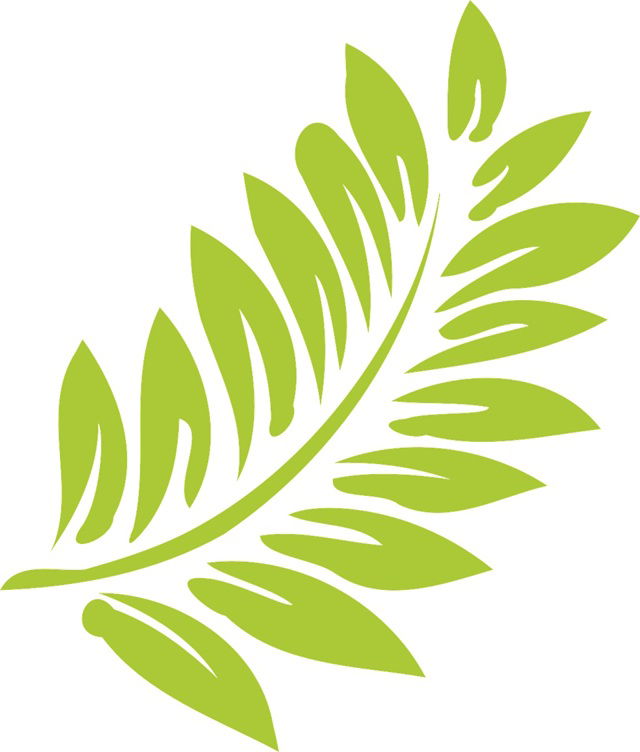 Hoja