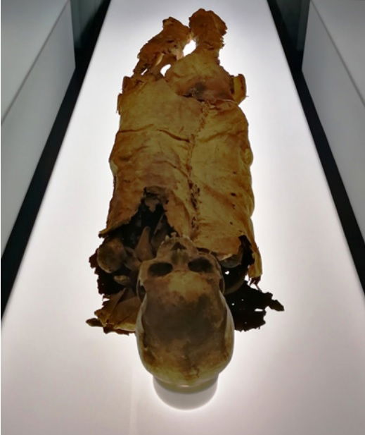 Museos de Tenerife