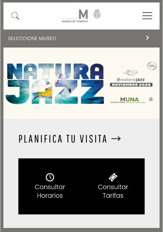 Captura de pantalla nueva web, versión móvil