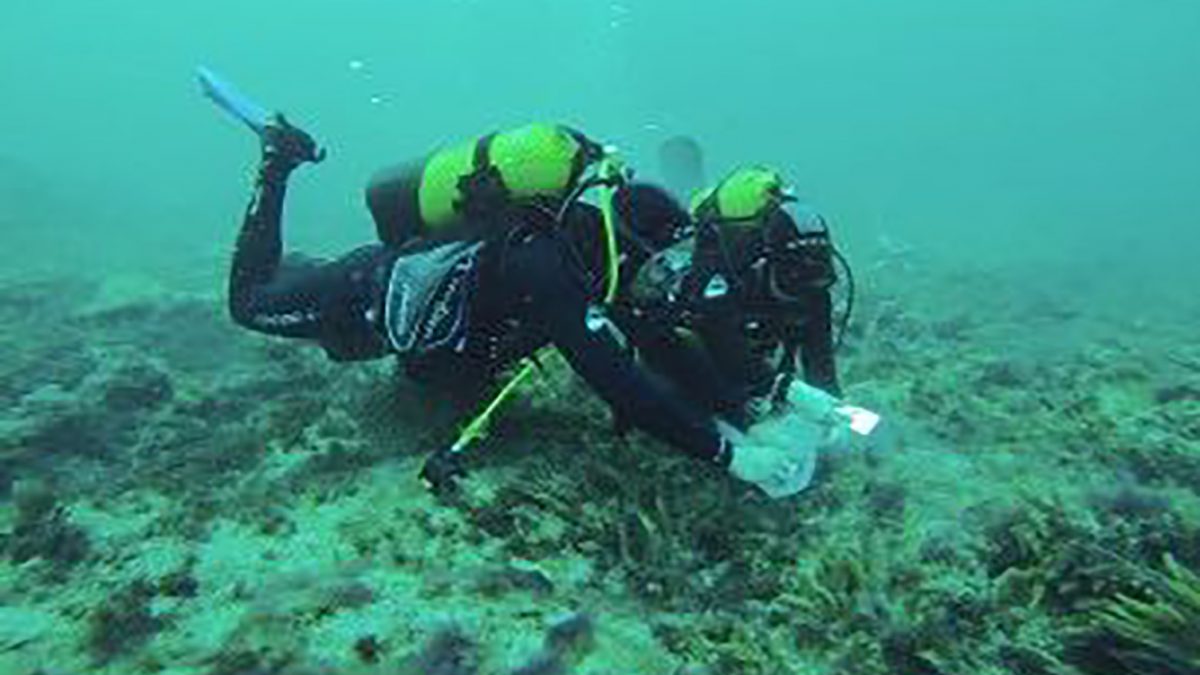 submarinismo