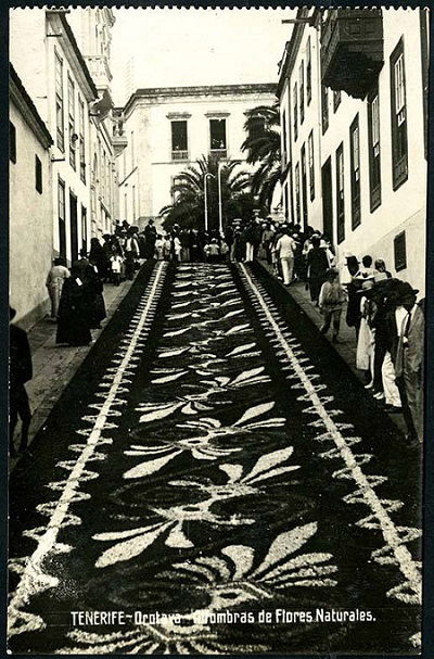 Tidbits: «Tenerife. Orotava. Alfombras de Flores Naturales»
