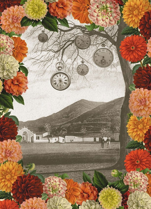 Separar la paja del centeno V: «El árbol»