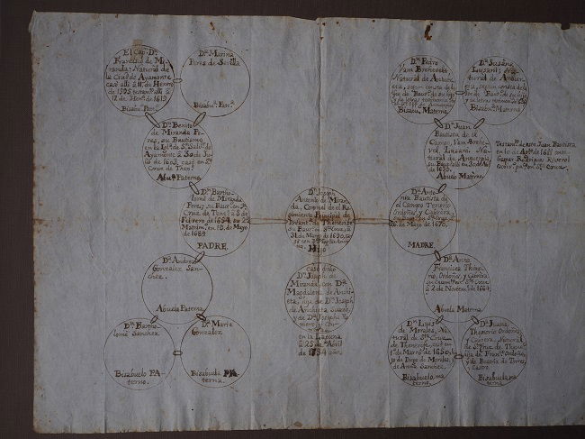 Registro de salida: «Árbol genealógico»