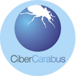 link-cibercarabus