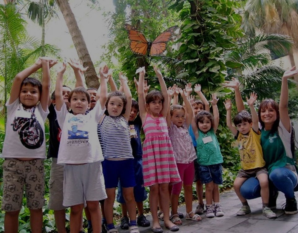 talleres-vacacionales-960×750