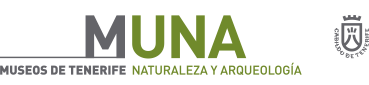 Museos de Tenerife Naturaleza y arquitectura