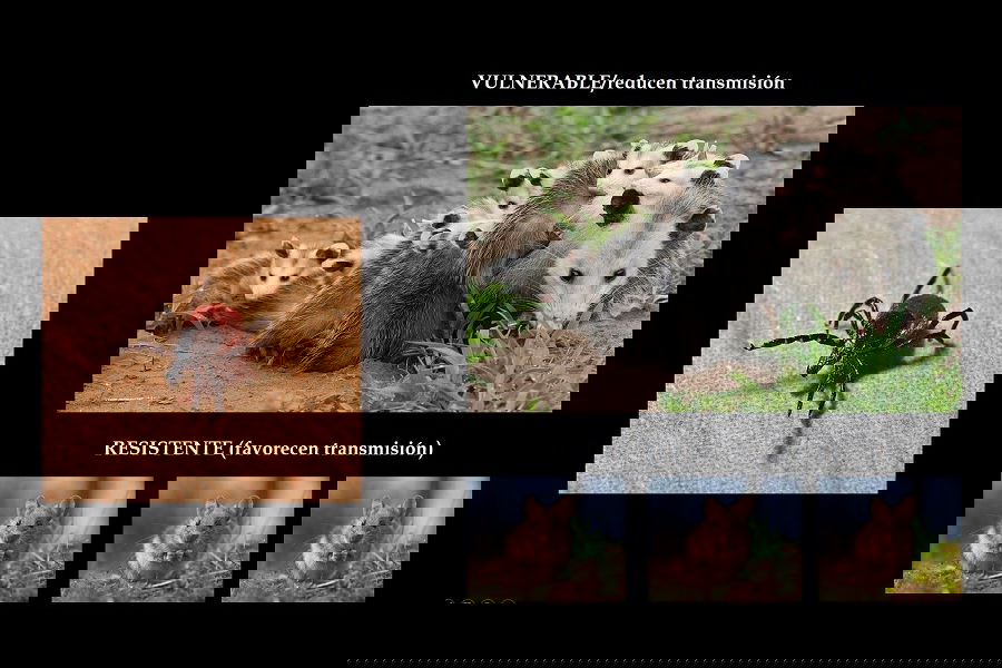 El planeta de la biota de oro