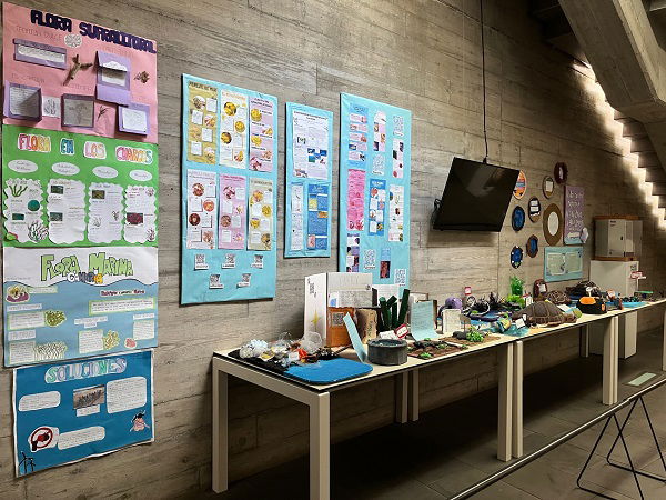 Expo colegio