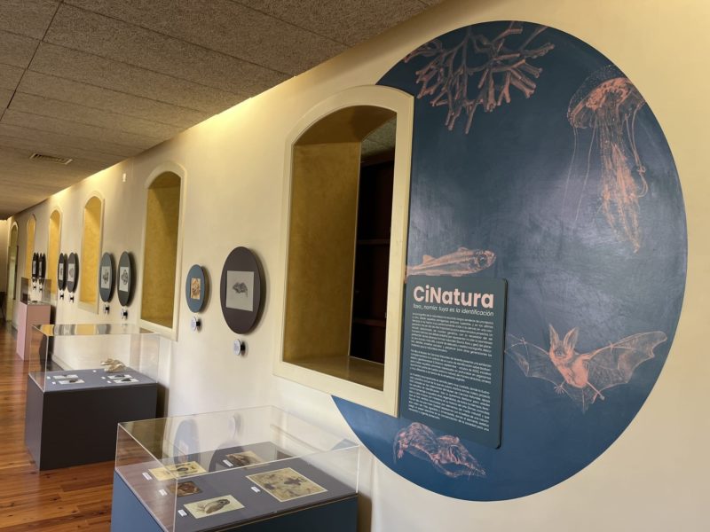 Exposición