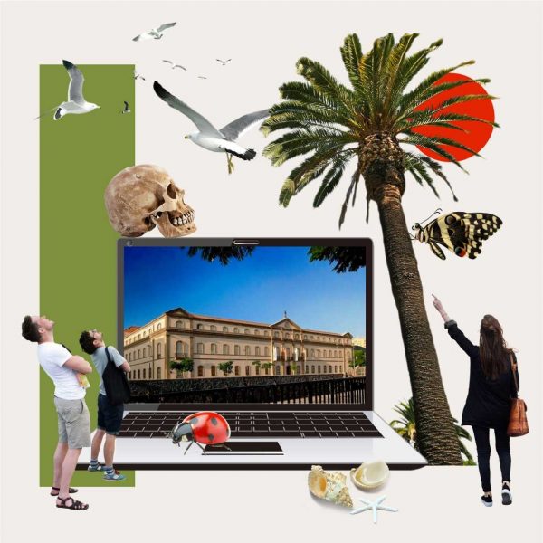 Visitas virtuales