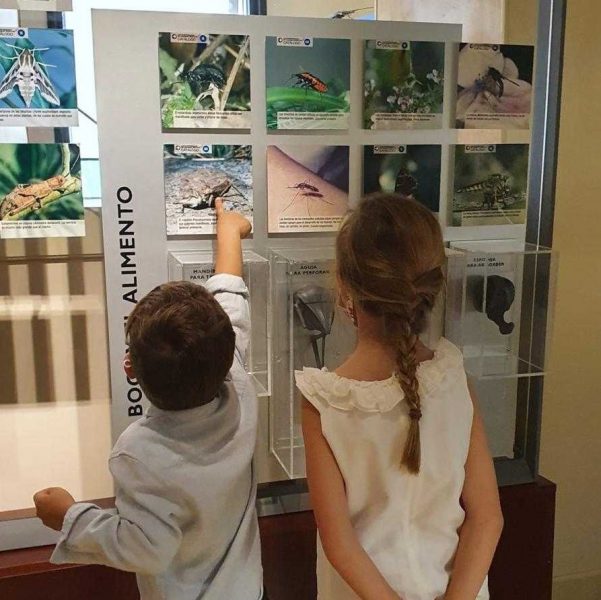 Visitas guiadas centros escolares