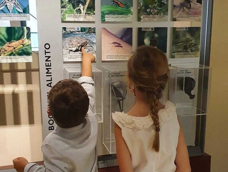 Visitas guiadas centros escolares