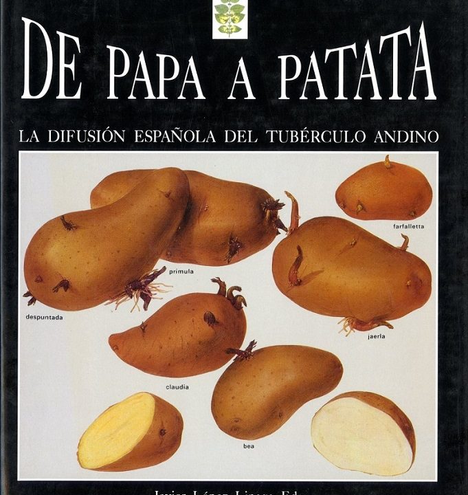De papa a patata. La difusión española del tubérculo andino