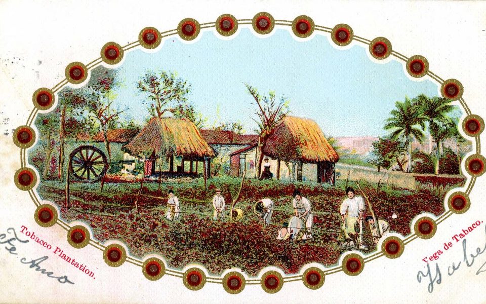 El tabaco en Canarias y América