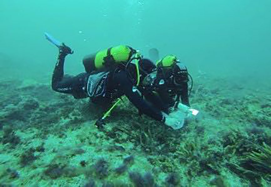 submarinismo