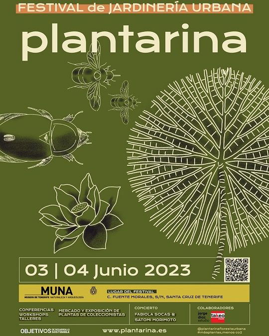 Cartel Festival nuevo