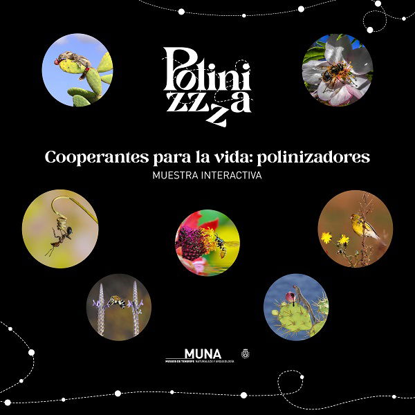 Polinizadores