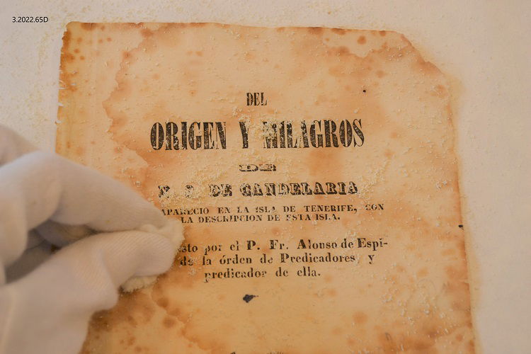Del origen y milagros de N.S. de Candelaria